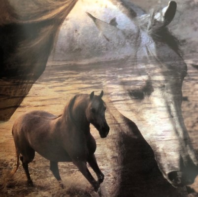 horses of the sun book 3928510653 1566147547870