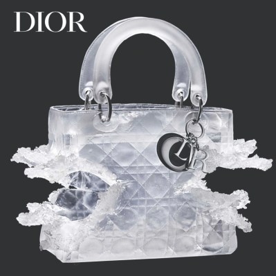 Lady Dior As Seen By в Ruarts