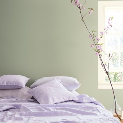 Цвет года Benjamin Moore: травянисто-зеленый тон Октябрь Mist 1495