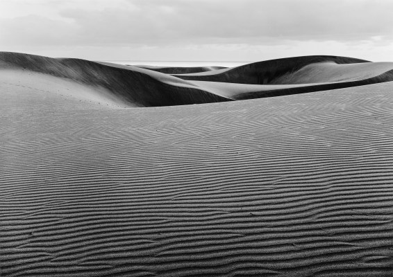 Выставка Portfolio #2 в Галерее классической фотографии