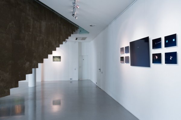 Выставка Миши Бурого в Ruarts Gallery