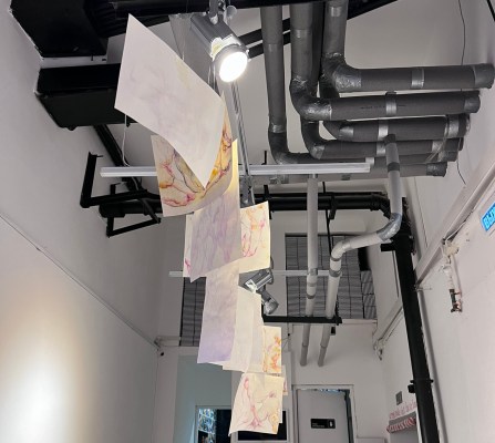 Выставочный проект Светланы Малаховой в Omelchenko gallery